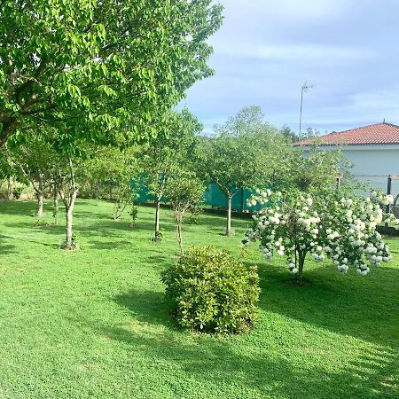 A Casa Vermella Con Jardin A 10 Minutos De Santiago De Compostela Διαμέρισμα Ortono Εξωτερικό φωτογραφία