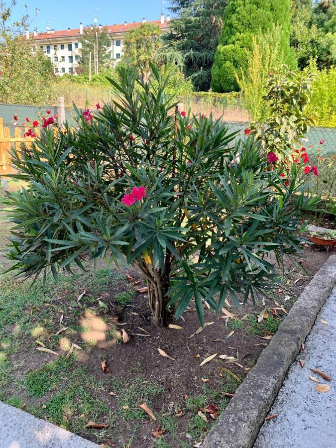 A Casa Vermella Con Jardin A 10 Minutos De Santiago De Compostela Διαμέρισμα Ortono Εξωτερικό φωτογραφία