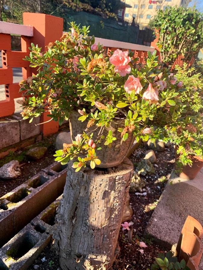 A Casa Vermella Con Jardin A 10 Minutos De Santiago De Compostela Διαμέρισμα Ortono Εξωτερικό φωτογραφία